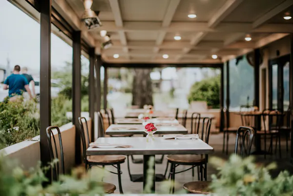 plant, table, furniture, property, building, chair