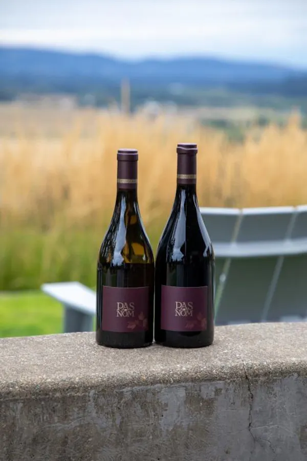 bottle, alcoholic drink, glass bottle, alcohol, wine bottle, wine