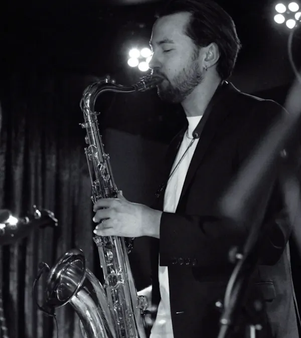 saxophonist, brass instrument, entertainment, reed instrument, saxophone, musician