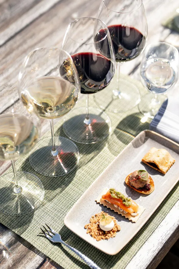 stemware, tableware, drinkware, wine glass, serveware, barware