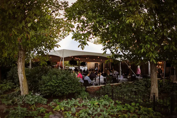event, chair, garden, shade, umbrella, canopy