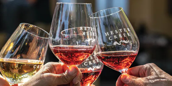 stemware, alcoholic drink, drinkware, tableware, alcohol, champagne glass