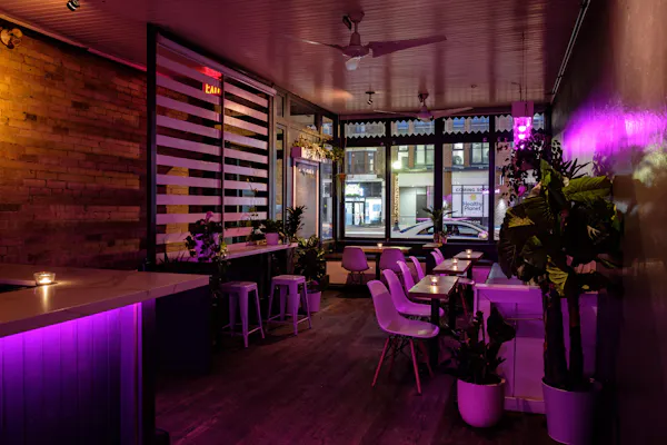 property, plant, furniture, table, purple, houseplant