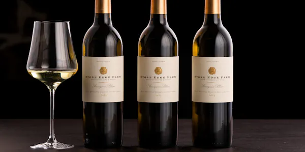 bottle, alcohol, alcoholic drink, glass bottle, wine, drinkware