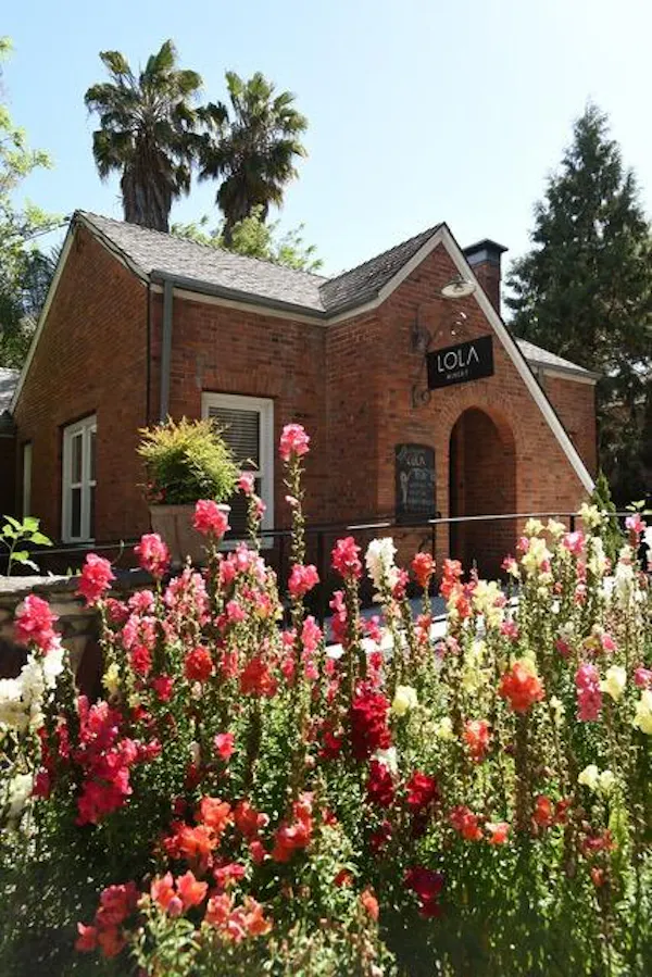 shrub, garden, yard, brick, landscaping, hacienda