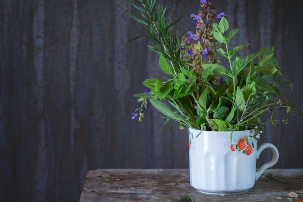 flower, plant, blue, drinkware, purple, petal