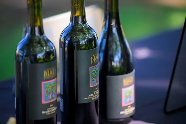 bottle, alcoholic drink, glass bottle, alcohol, wine bottle, wine