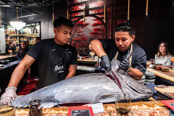 fish, seafood, food, flesh