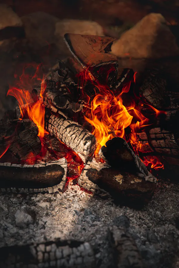 ash, bonfire, fire, charcoal, wood, flame