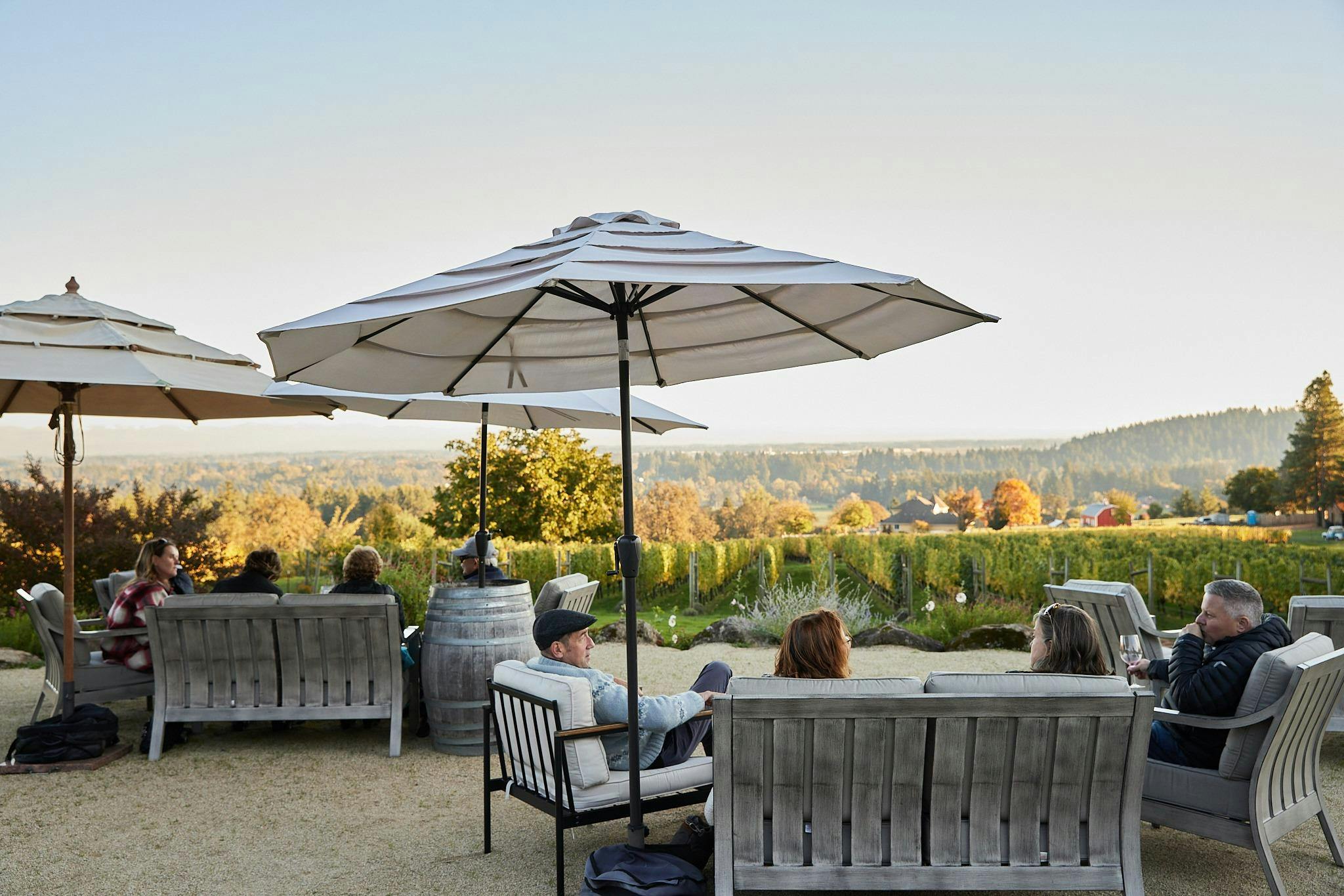 Terra Vina Wines - Wilsonville