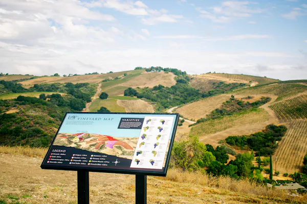 hill, highland, landscape, ecoregion, terrain, grassland