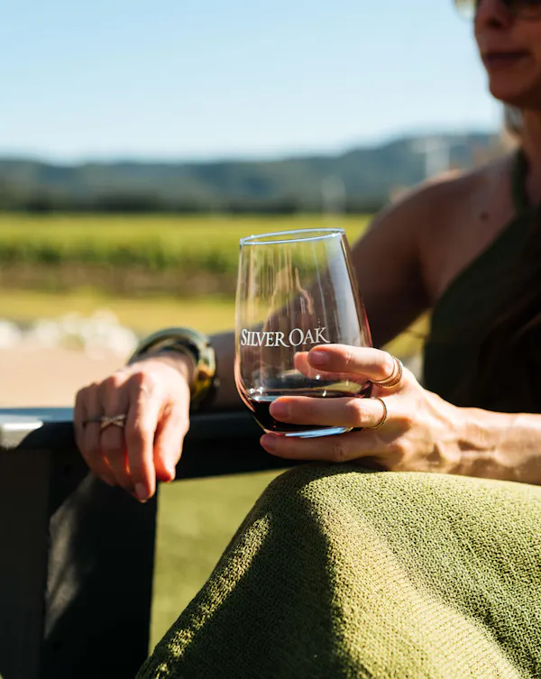 tableware, stemware, drinkware, alcoholic drink, wine glass, barware