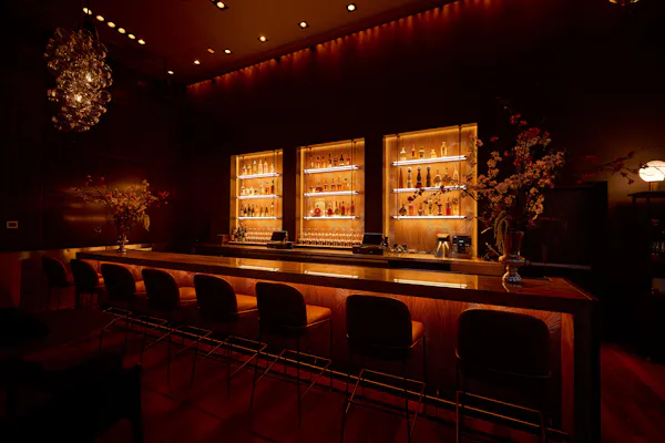 lighting, bar, drinking establishment, light fixture, shelving, shelf