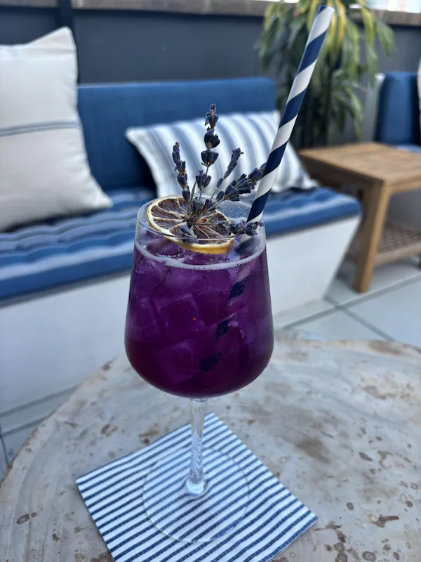 tableware, alcoholic drink, cocktail, purple, glass, fruit