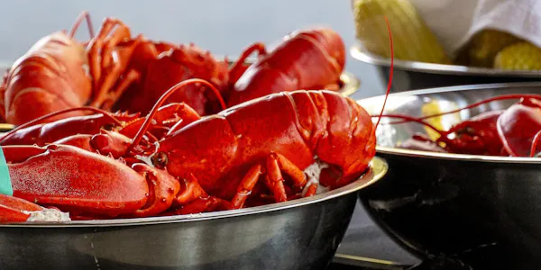 food, tableware, ingredient, seafood, shellfish, lobster