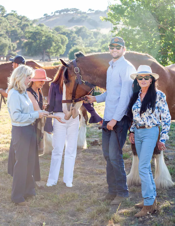 hat, horse, trousers, horse tack, bridle, halter