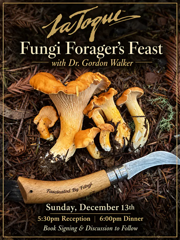 fungus