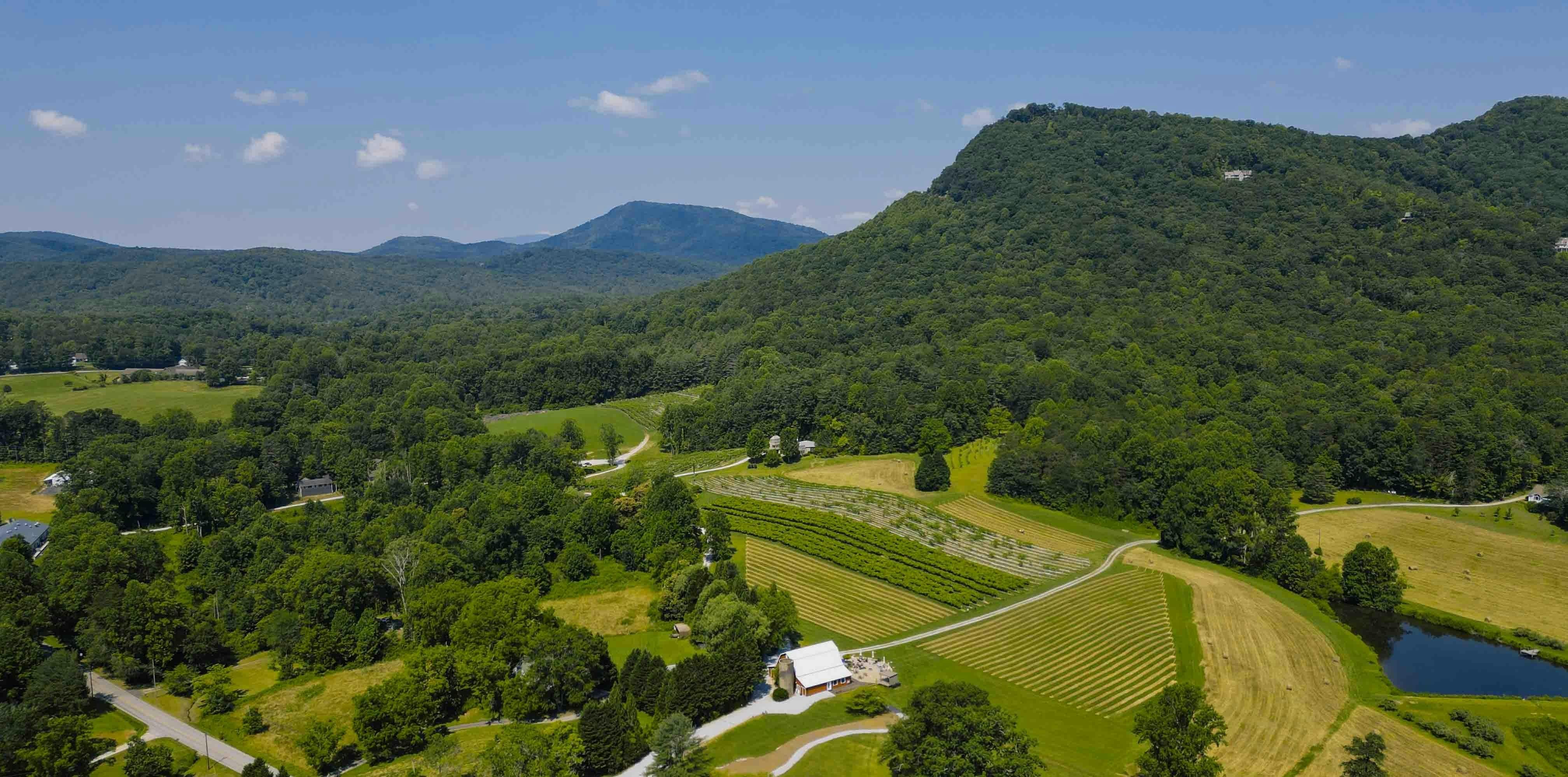 Tiger Mountain Vineyards