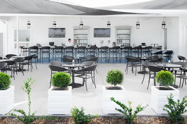 plant, table, furniture, chair, urban design, floor