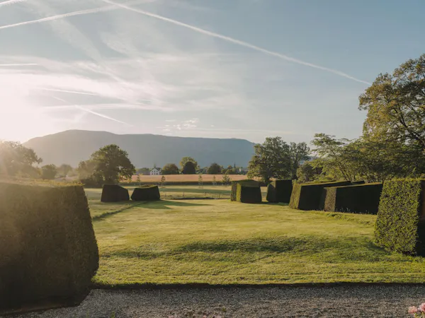 grass, nature, green, natural landscape, landscape, grassland
