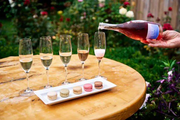 tableware, stemware, alcoholic drink, drinkware, wine glass, barware