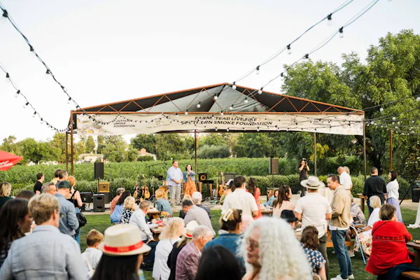 event, canopy, tent, recreation, leisure, pole