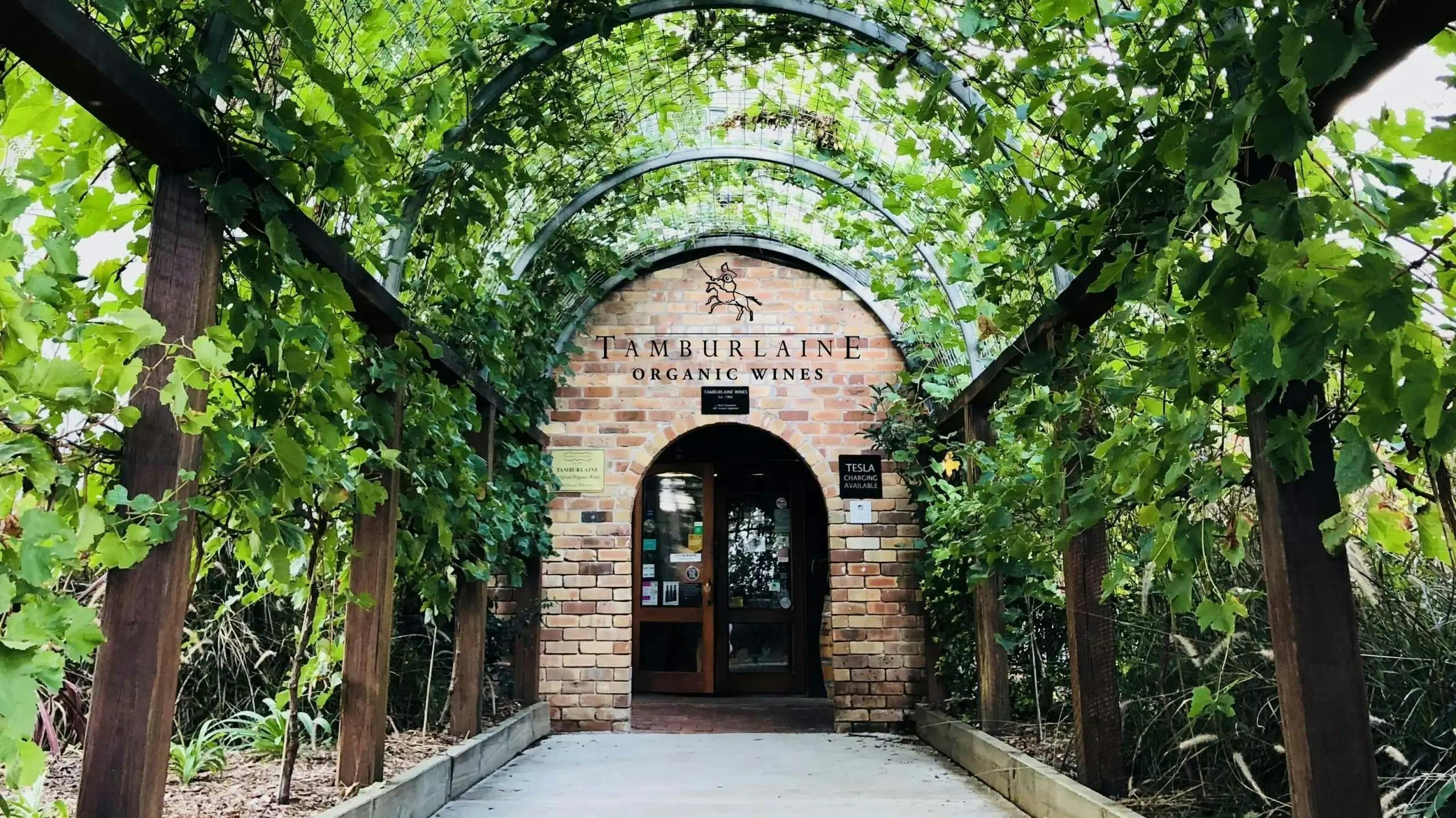 Tamburlaine Organic Wines