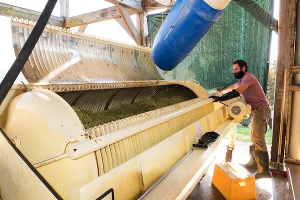 machine, factory, loom, weaving, wool