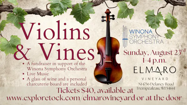 string instrument, chordophone, violin family, musical instrument, bowed string instrument, fiddle
