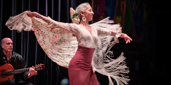 performing arts, entertainment, chordophone, performance, performance art, artist