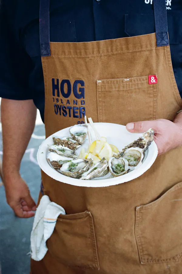 food, apron, ingredient, overall, chef, cook