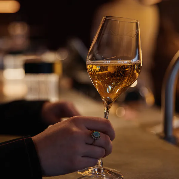 stemware, tableware, drinkware, alcoholic drink, barware, wine glass