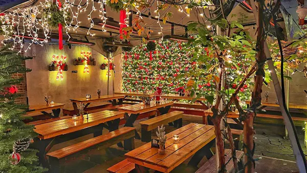 lighting, restaurant, ceiling, christmas decoration, decoration, christmas lights