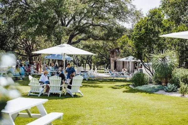 plant, tree, chair, shade, outdoor furniture, grass