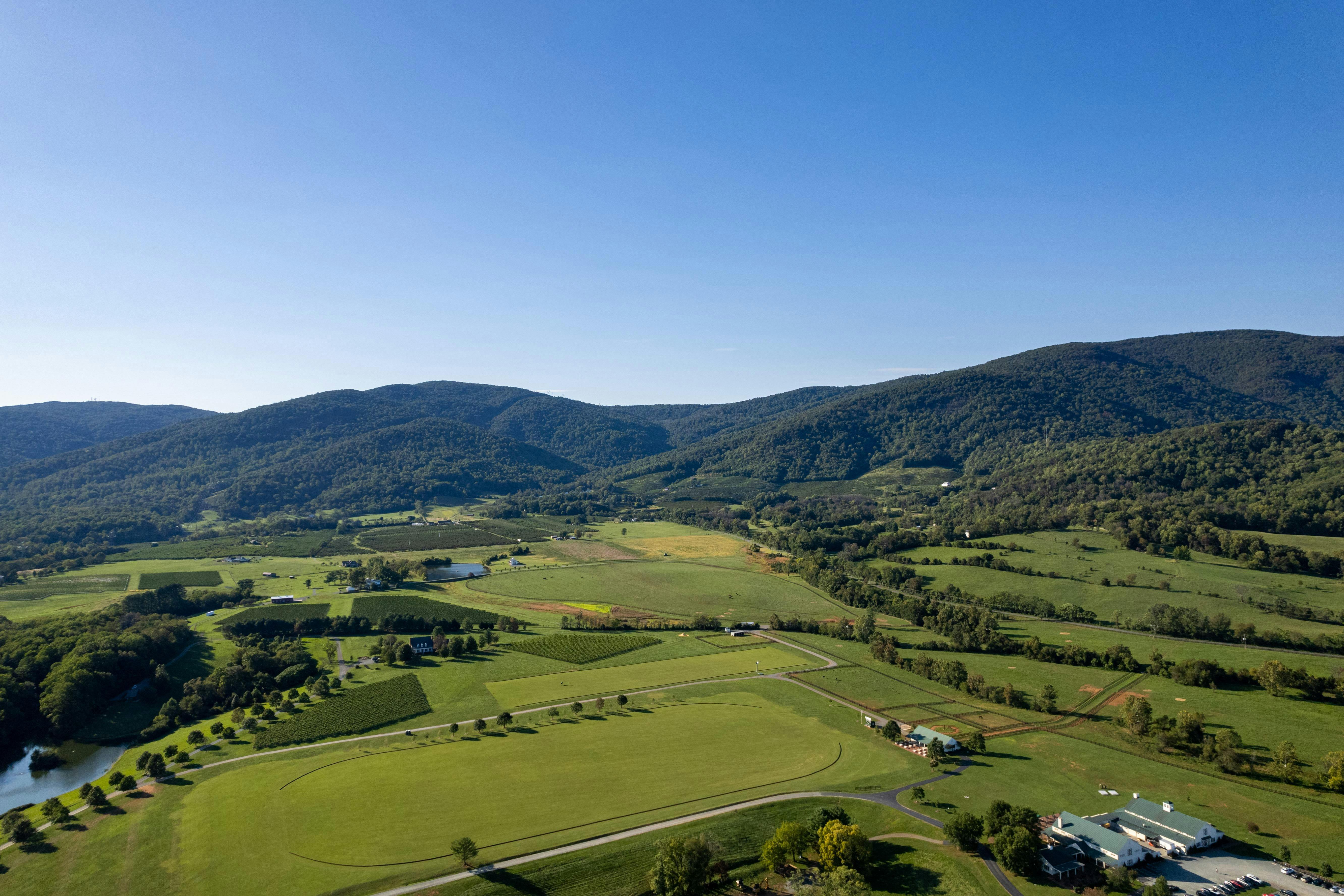 King Family Vineyards