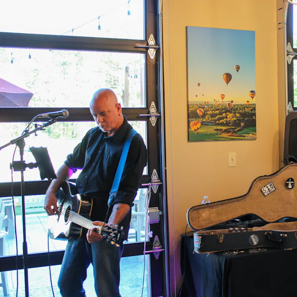 chordophone, musical instrument, string instrument, guitar, guitarist, plucked string instrument
