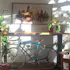 Emmaline's