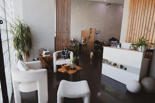 furniture, lighting, flowerpot, room, houseplant, living room