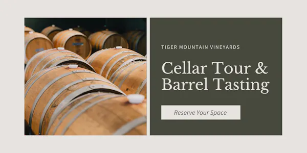 barrel, wood stain, winery, brewery, hardwood, design