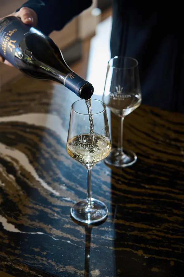 stemware, tableware, drinkware, wine glass, alcoholic drink, barware