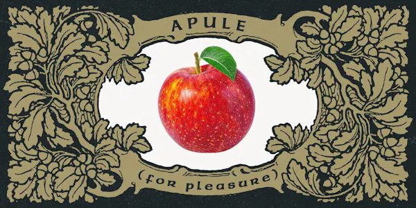 produce, natural foods, fruit, apple, mcintosh red