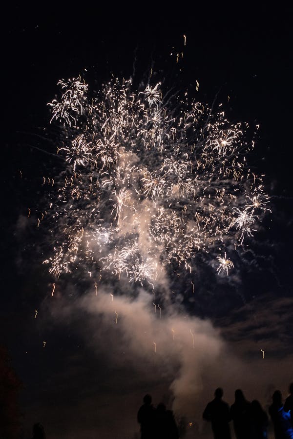 fireworks, sky, night, atmospheric phenomenon, new years day, fête