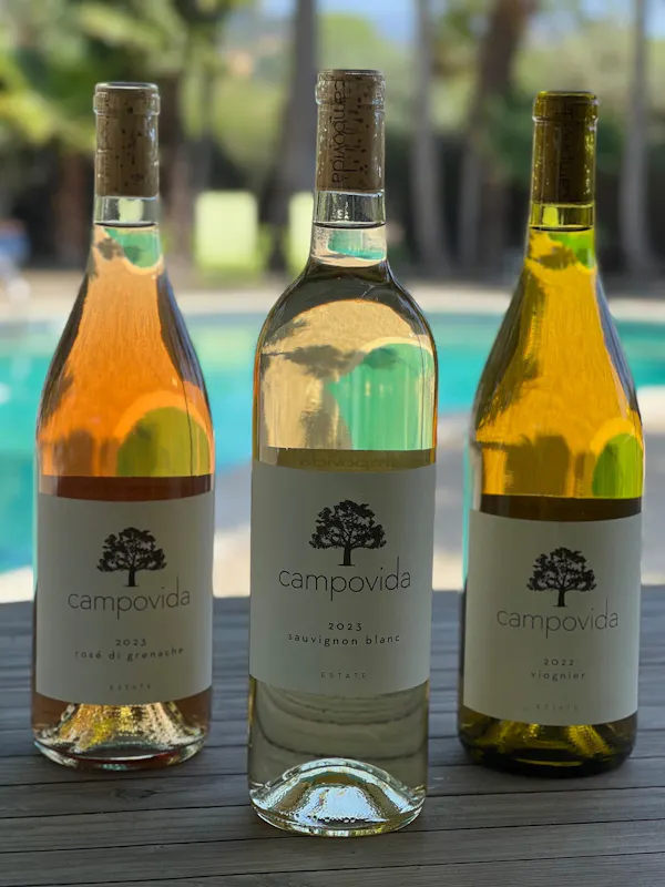 bottle, glass bottle, label, alcohol, wine bottle
