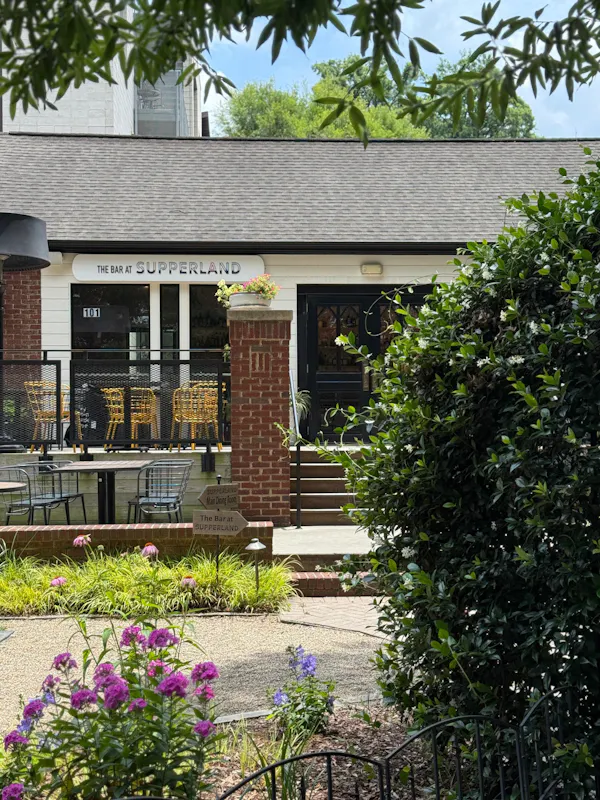 shrub, door, brick, yard, garden, shade