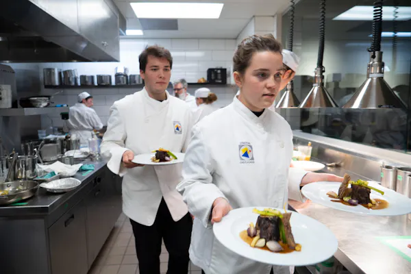 uniform, cook, chef, chef's uniform, cooking, job
