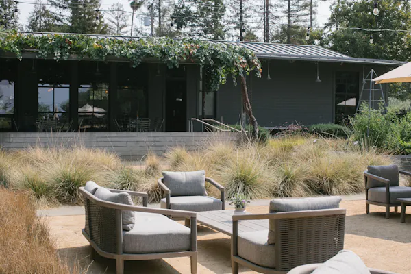plant, property, furniture, botany, building, tree