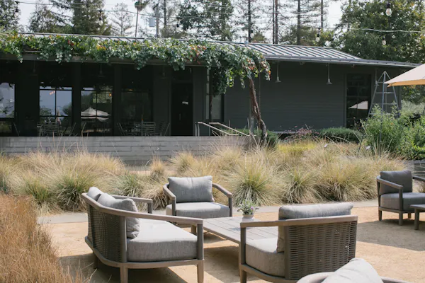 plant, property, furniture, botany, building, tree