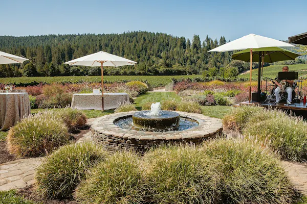 natural landscape, landscape, garden, groundcover, landscaping, plantation