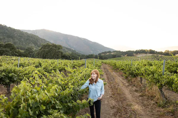 agriculture, plantation, hill station, people in nature, vineyard, vacation