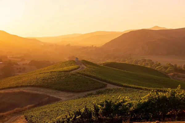 hill, horizon, agriculture, plain, plantation, field